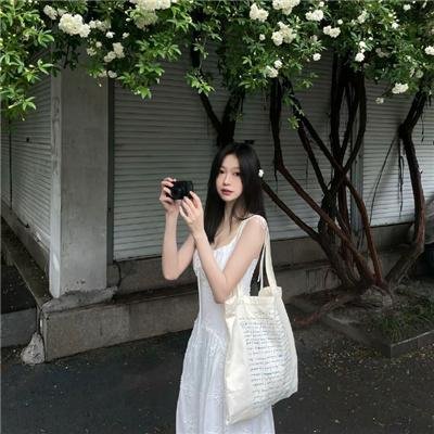 小镇猪事